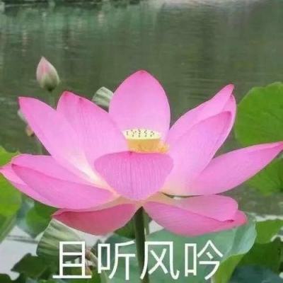 晚报｜广东九江大桥沉船事故初查原因公布 大桥已恢复通行